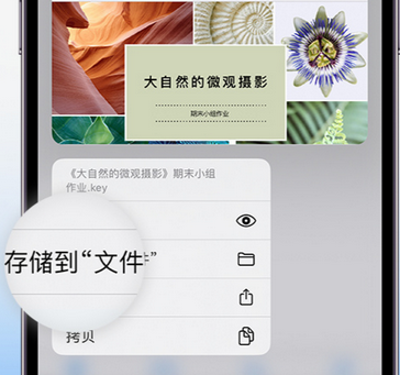 沾化apple维修中心分享iPhone文件应用中存储和找到下载文件