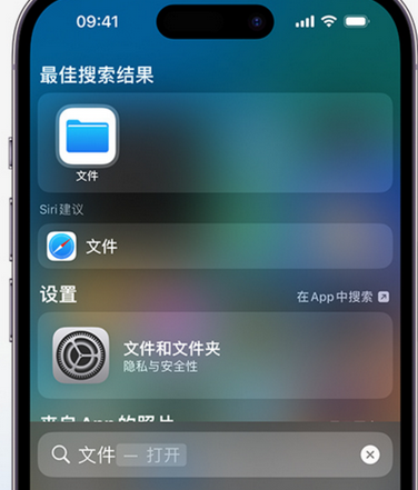 沾化apple维修中心分享iPhone文件应用中存储和找到下载文件 