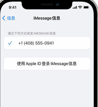 沾化apple维修iPhone上无法正常发送iMessage信息 