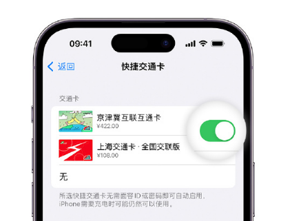 沾化apple维修点分享iPhone上更换Apple Pay快捷交通卡手绘卡面 