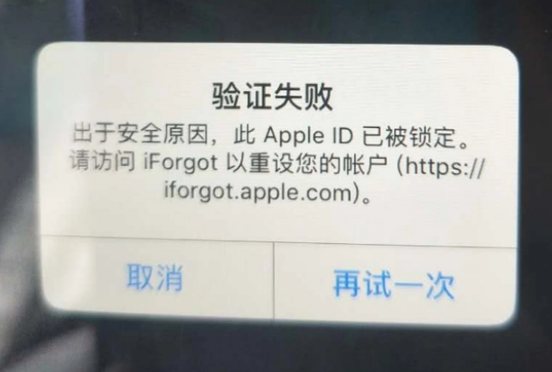 沾化iPhone维修分享iPhone上正常登录或使用AppleID怎么办 