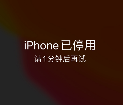 沾化苹果手机维修分享:iPhone 显示“不可用”或“已停用”怎么办？还能保留数据吗？ 