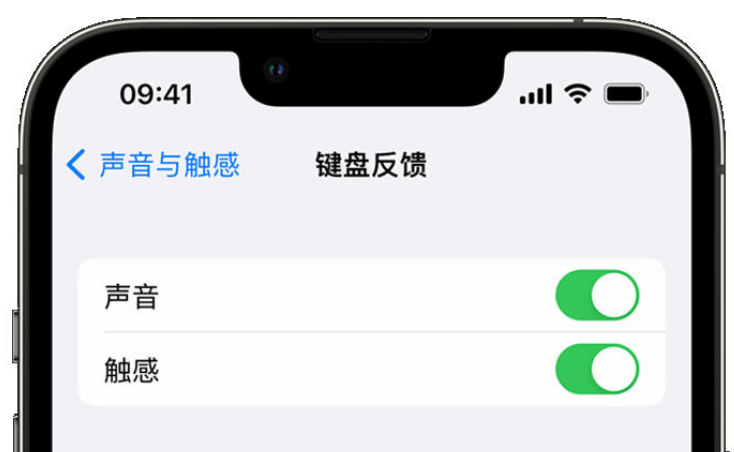 沾化苹果手机维修分享iPhone 14触感键盘使用方法 