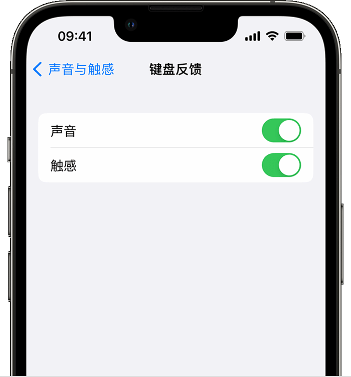 沾化苹果14维修店分享如何在 iPhone 14 机型中使用触感键盘 