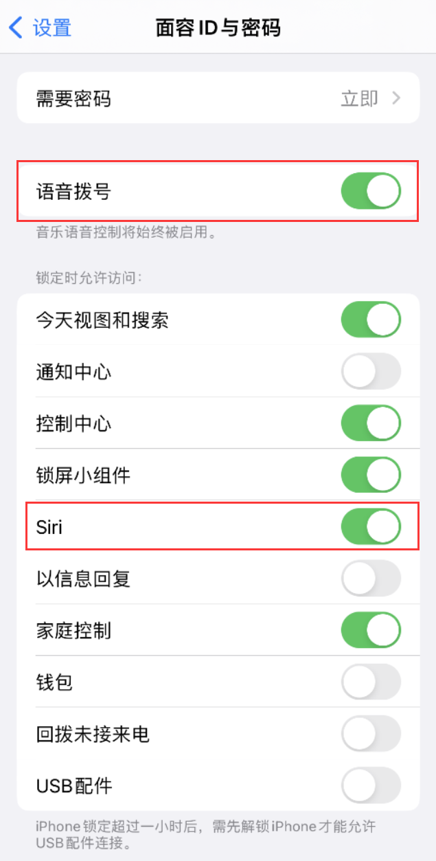 沾化苹果维修网点分享不解锁 iPhone 的情况下通过 Siri 拨打电话的方法 