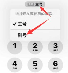 沾化苹果14维修店分享iPhone 14 Pro Max使用副卡打电话的方法 