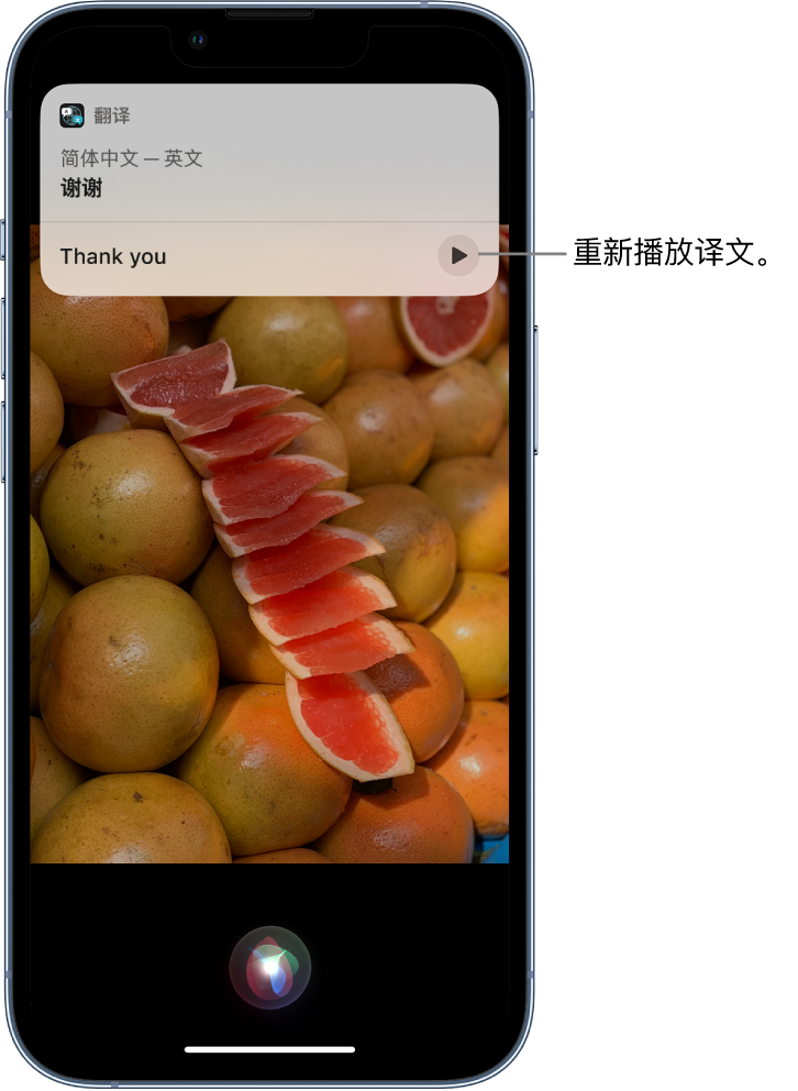 沾化苹果14维修分享 iPhone 14 机型中使用 Siri：了解 Siri 能帮你做什么 