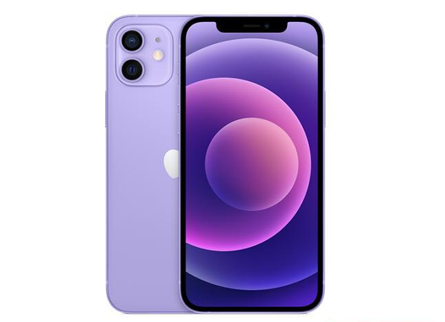 沾化苹果手机维修分享现阶段要不要入手紫色版iPhone12 